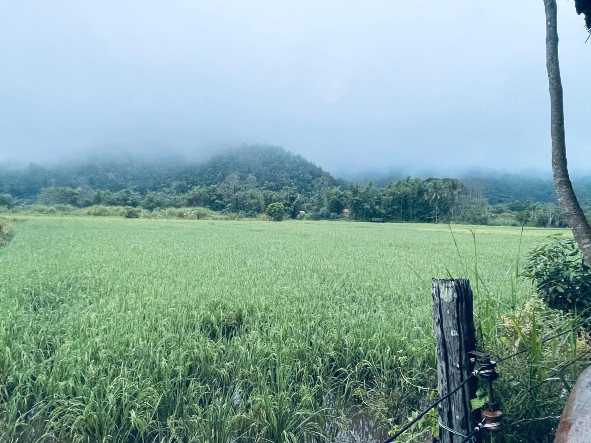 บ้านสวนวิวทุ่ง Ban Mae Sap Nua Екстер'єр фото