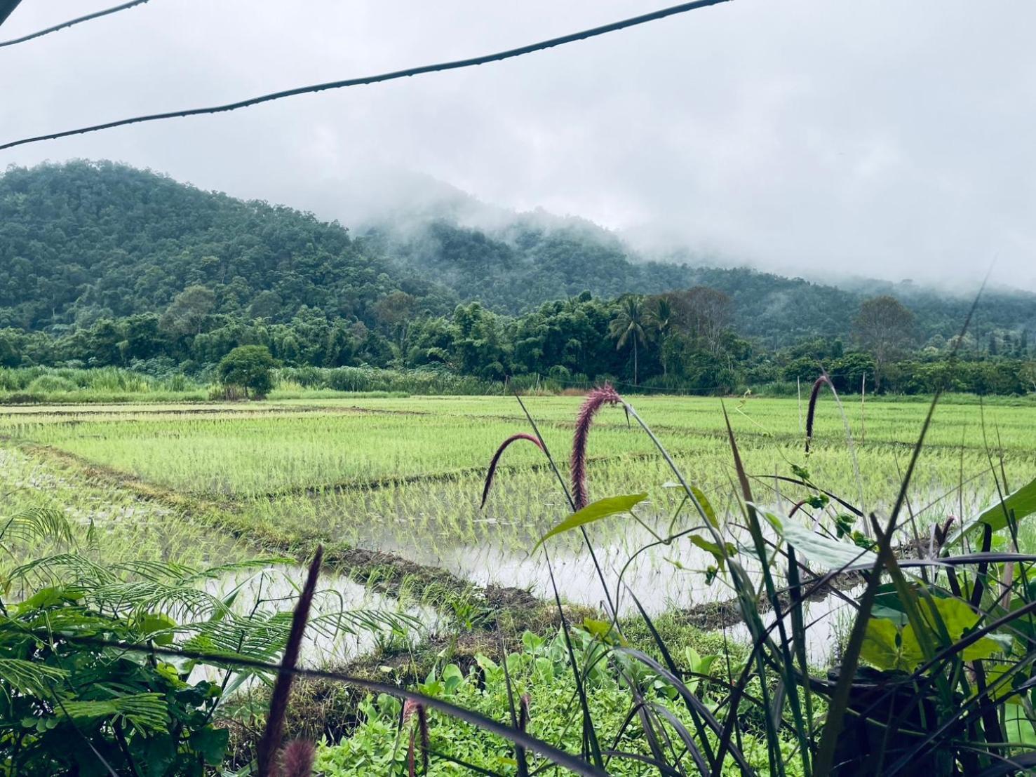 บ้านสวนวิวทุ่ง Ban Mae Sap Nua Екстер'єр фото