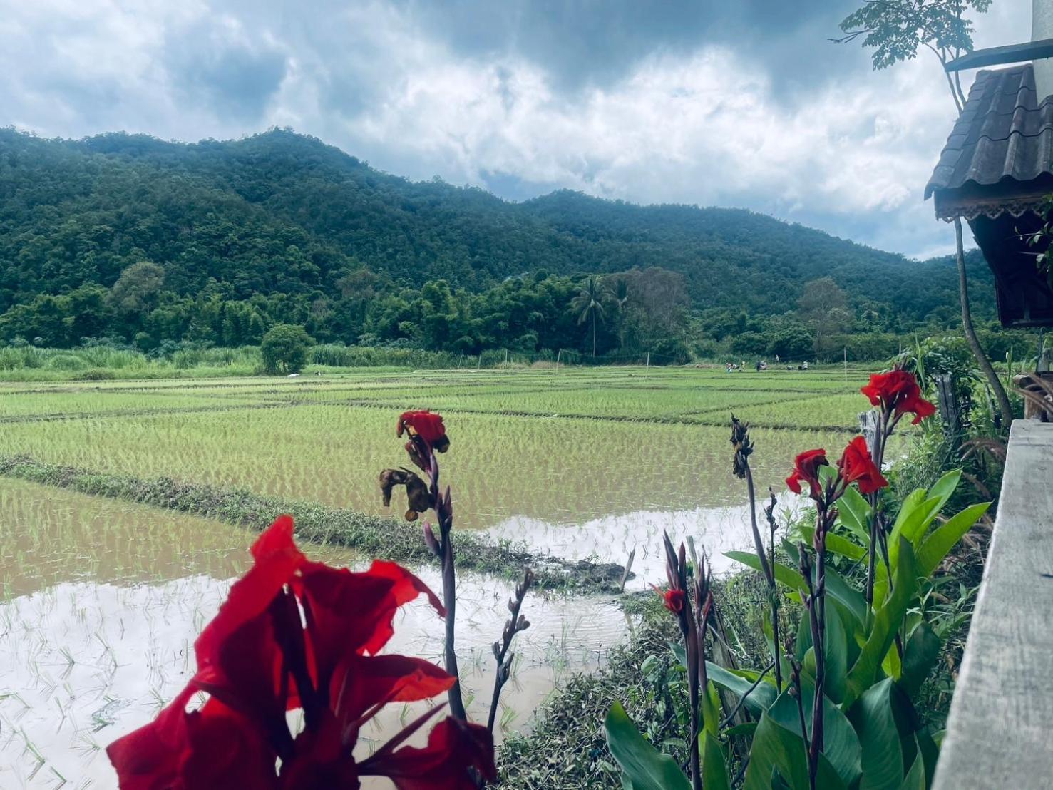 บ้านสวนวิวทุ่ง Ban Mae Sap Nua Екстер'єр фото