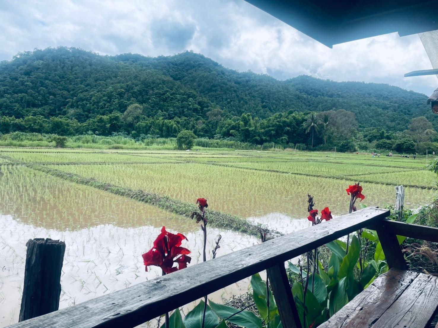 บ้านสวนวิวทุ่ง Ban Mae Sap Nua Екстер'єр фото