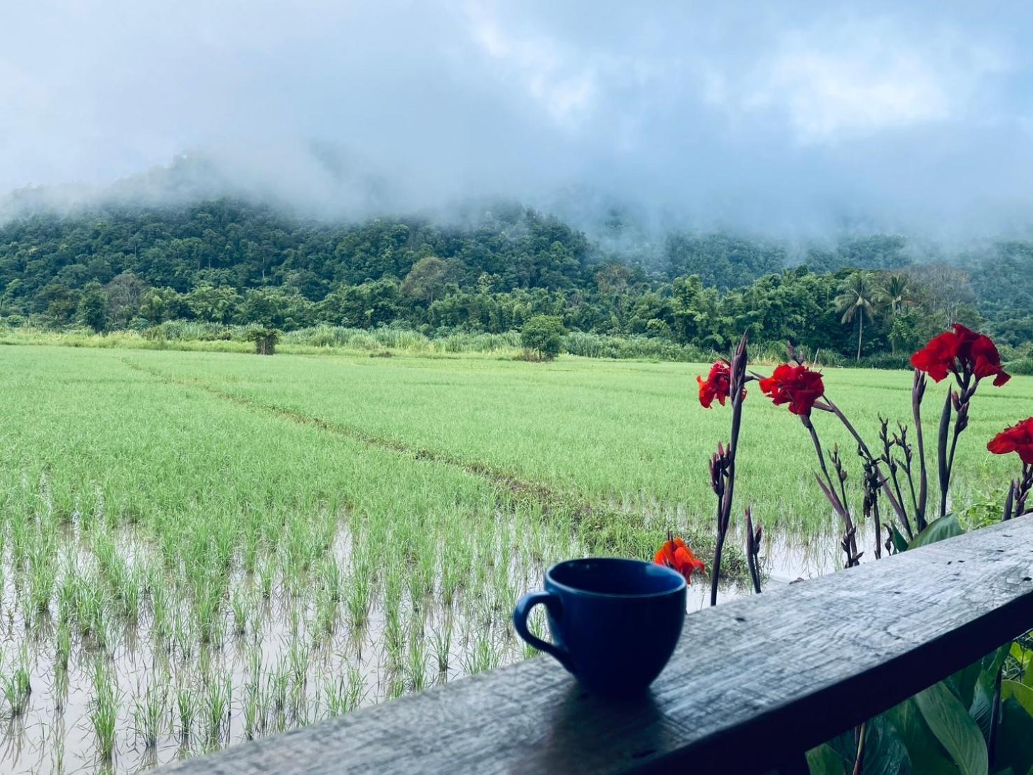 บ้านสวนวิวทุ่ง Ban Mae Sap Nua Екстер'єр фото