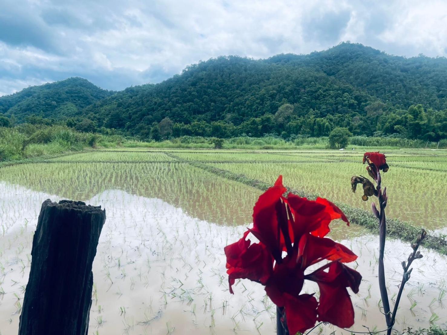 บ้านสวนวิวทุ่ง Ban Mae Sap Nua Екстер'єр фото