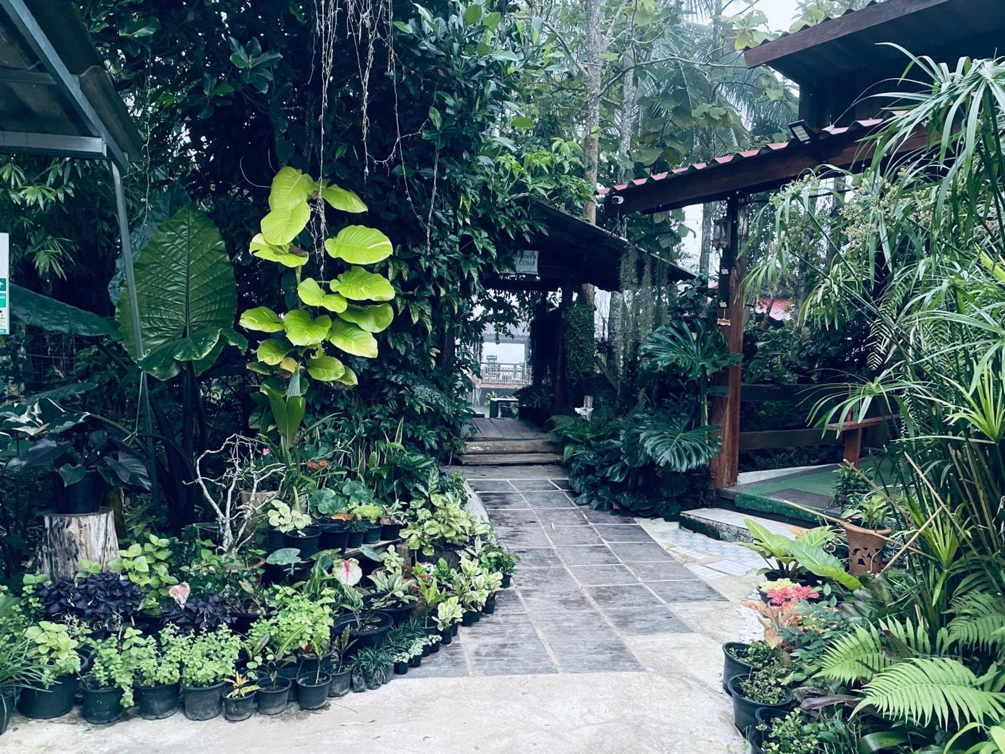 บ้านสวนวิวทุ่ง Ban Mae Sap Nua Екстер'єр фото