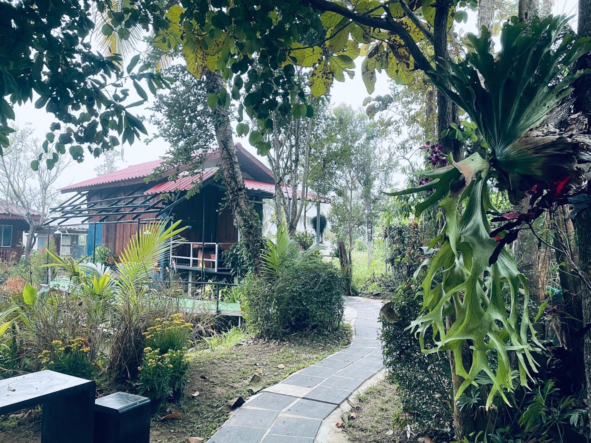 บ้านสวนวิวทุ่ง Ban Mae Sap Nua Екстер'єр фото